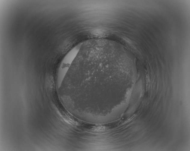 X0000062640459200601041101