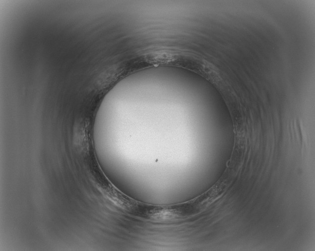 X0000062640460200601041101