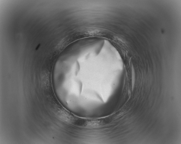 X0000062640461200601041101