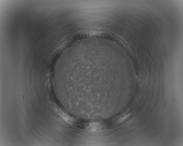 X0000062640462200601041101