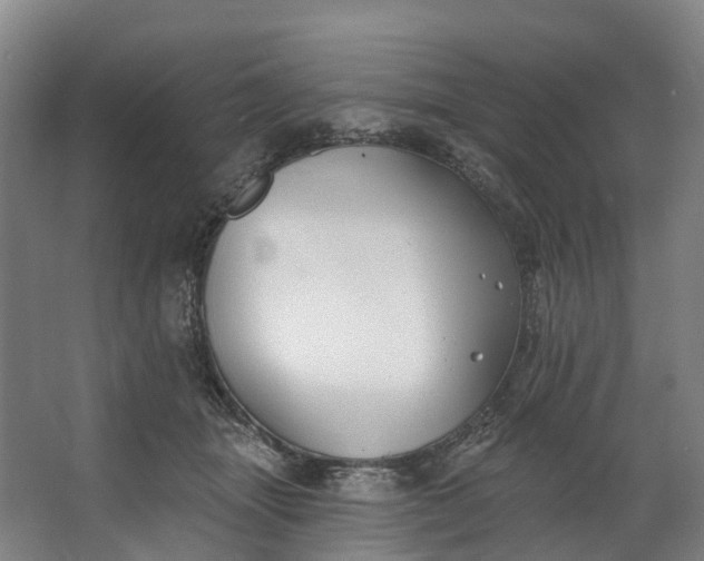 X0000062640463200601041101