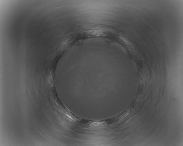 X0000062640465200601041101