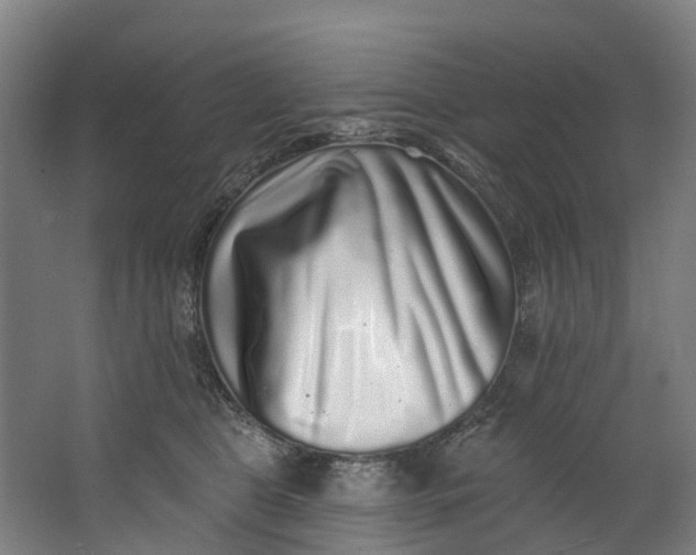 X0000062640469200601041101