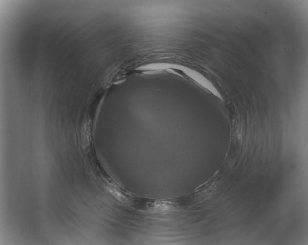 X0000062640475200601041102