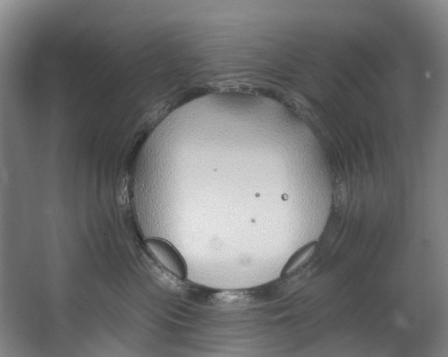 X0000062640477200601041102