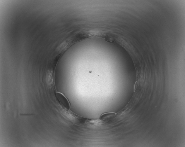 X0000062640478200601041102