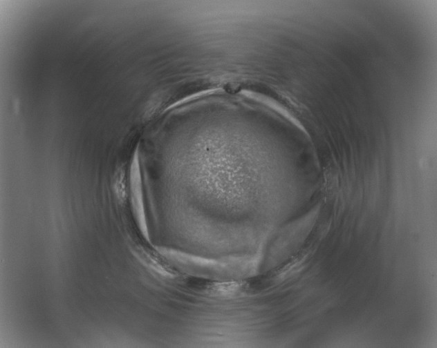 X0000062640479200601041102