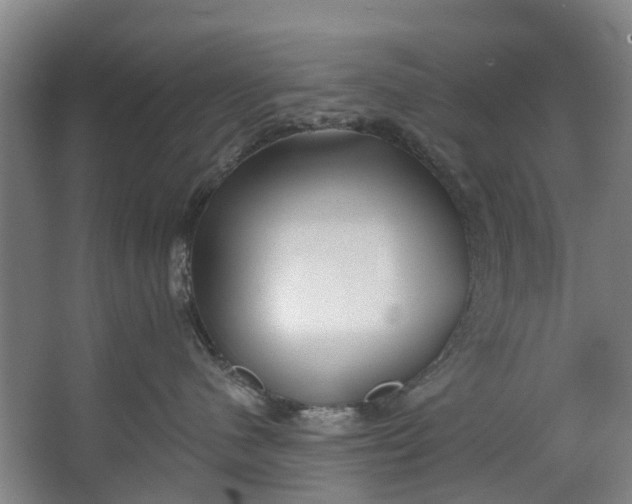 X0000062640480200601041102