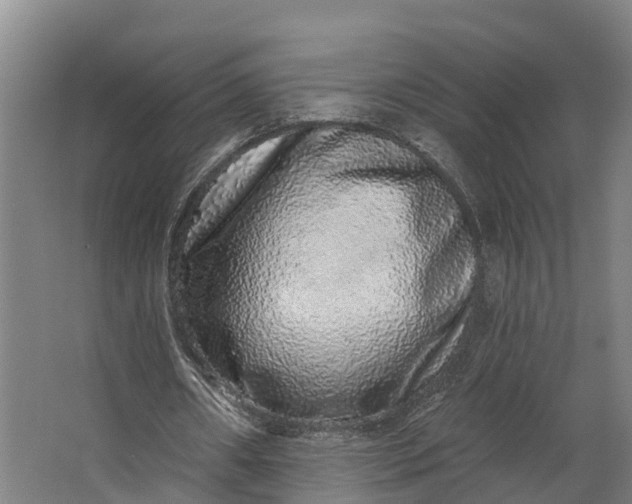 X0000062640482200601041101