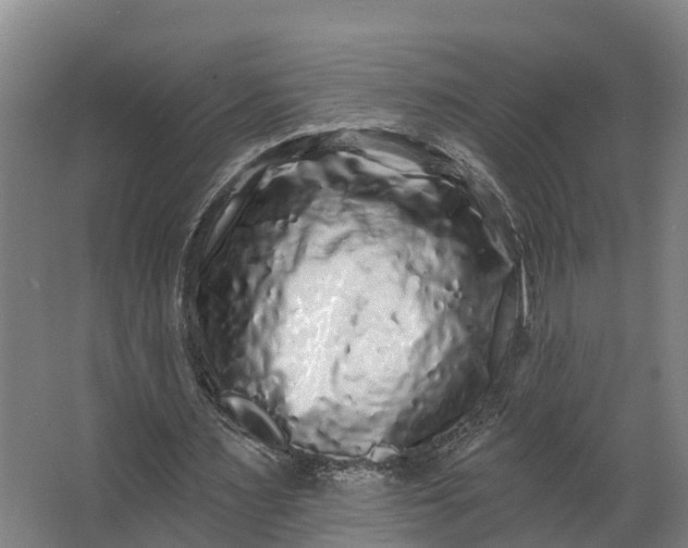 X0000062640483200601041101