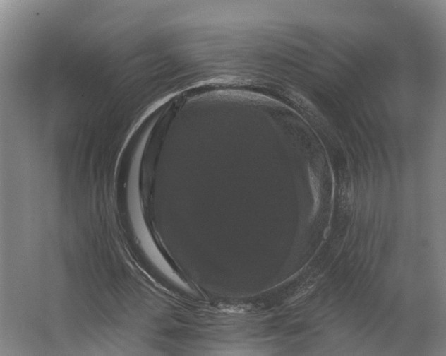 X0000062640484200601041101