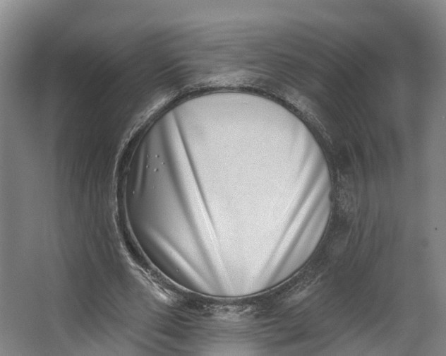 X0000062640486200601041101