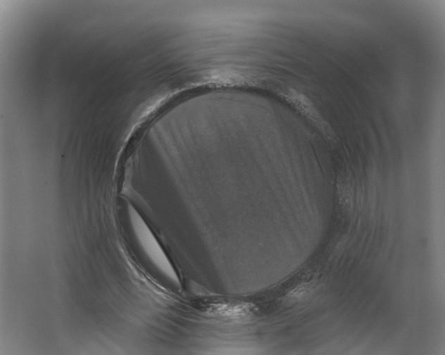 X0000062640488200601041101