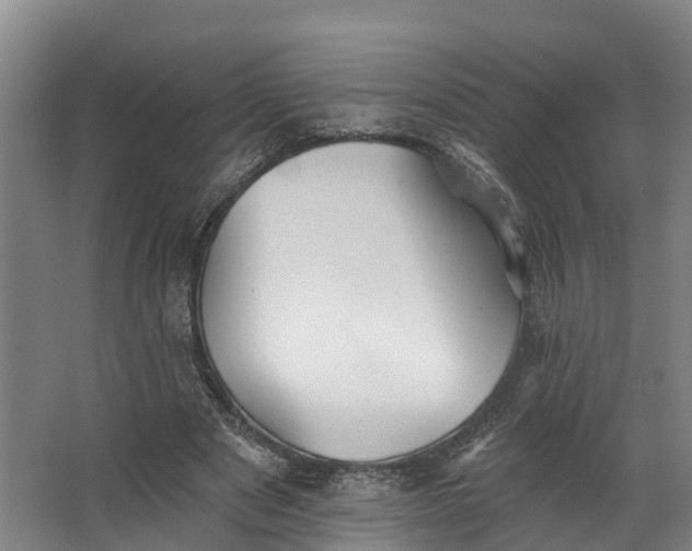 X0000062640489200601041101