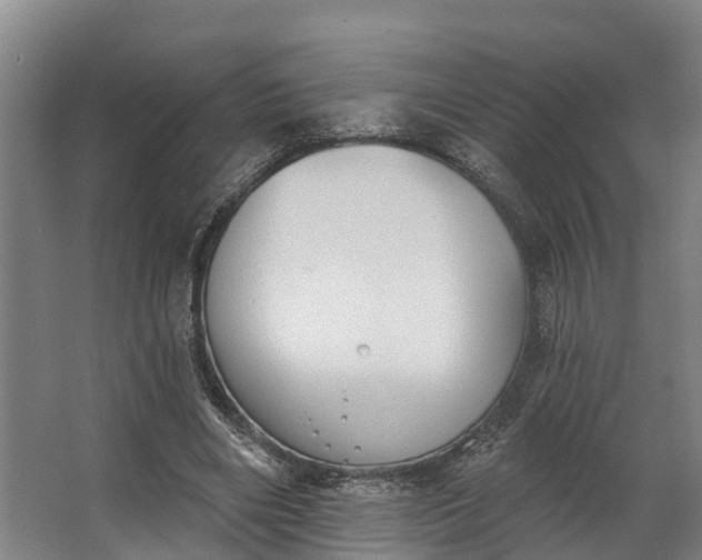 X0000062640490200601041101