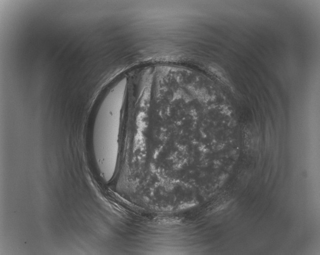 X0000062640491200601041101