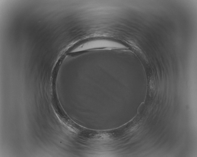 X0000062640492200601041101