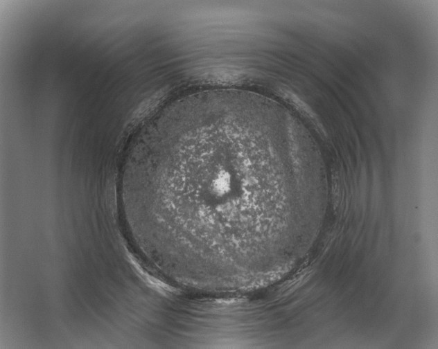 X0000062640493200601041101