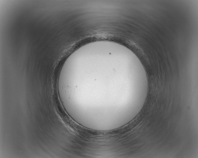 X0000062640496200601041101