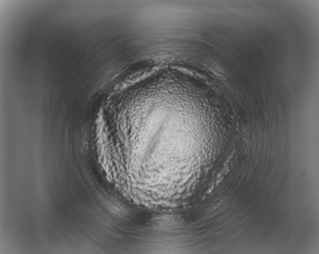 X0000062640499200601041101