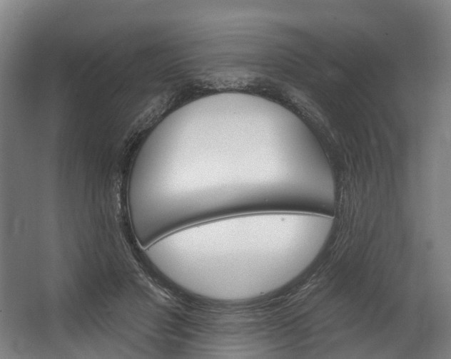 X0000062640501200601041100