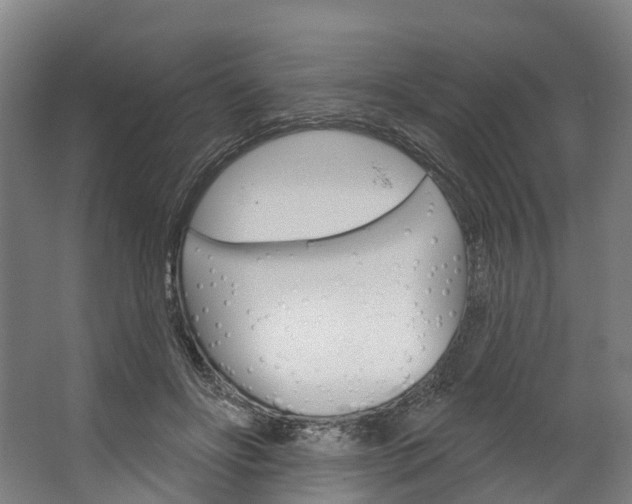 X0000062640502200601041100