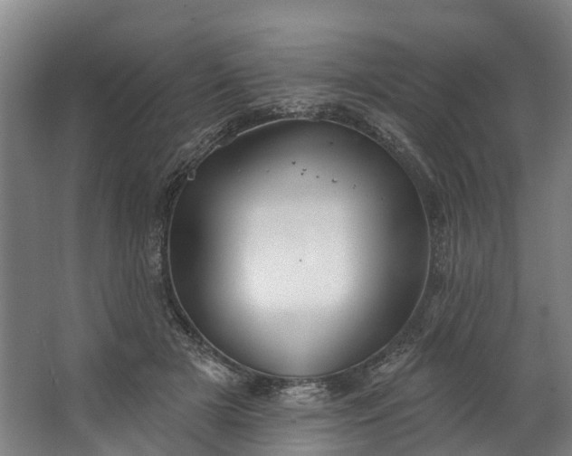 X0000062640505200601041100