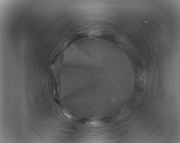 X0000062640506200601041100