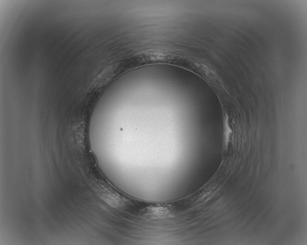 X0000062640509200601041100