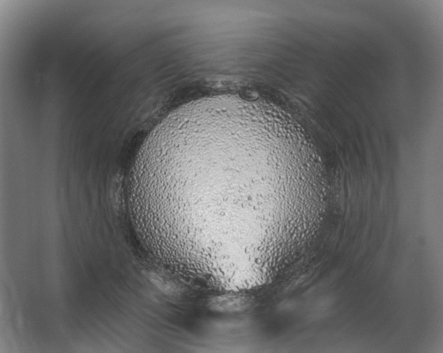 X0000062640511200601041100