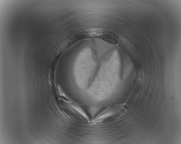 X0000062640512200601041100