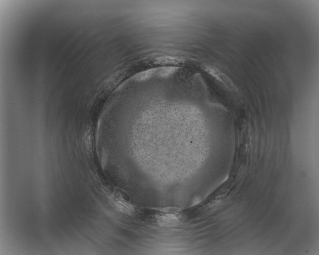 X0000062640513200601041100