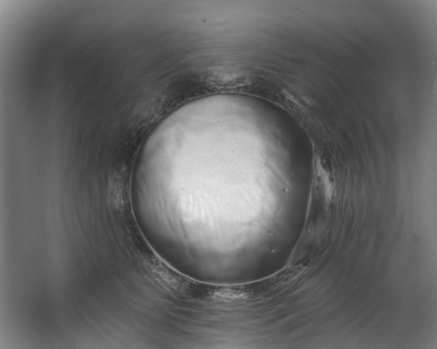 X0000062640515200601041100