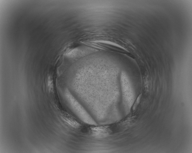 X0000062640516200601041100