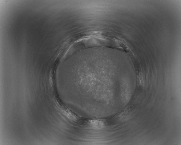 X0000062640520200601041100