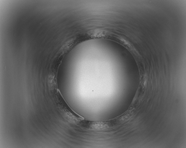 X0000062640521200601041100