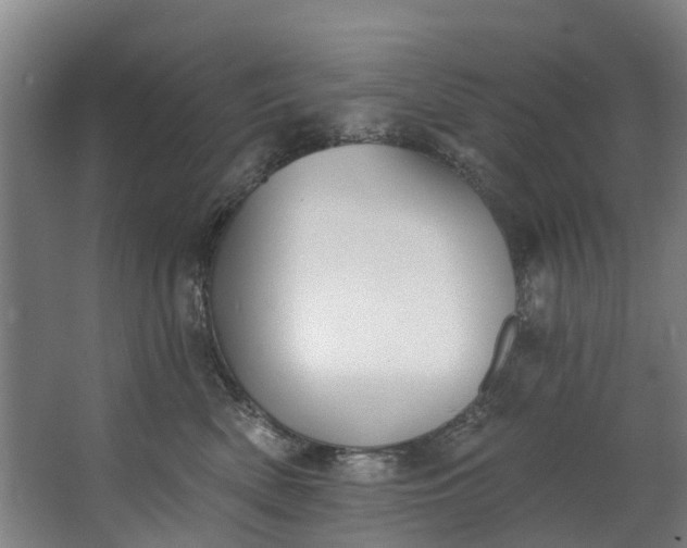 X0000062640522200601041100