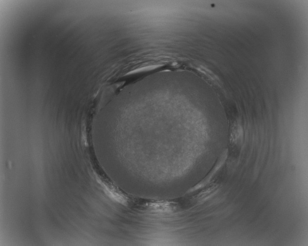 X0000062640524200601041100