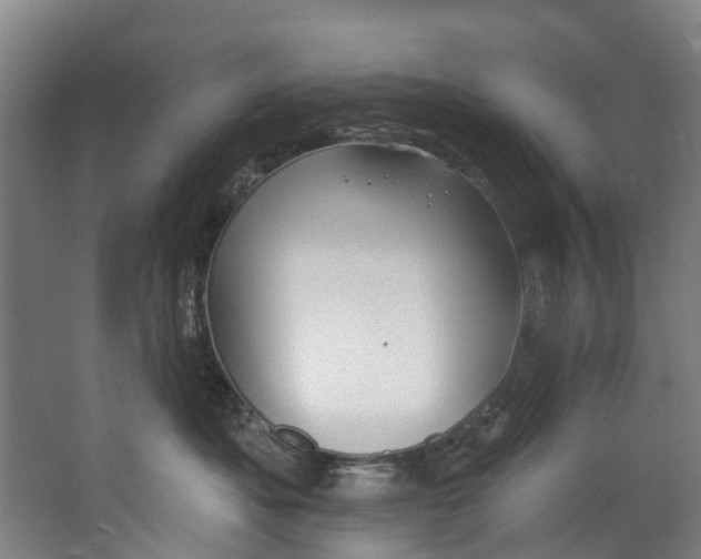 X0000062640525200601041100