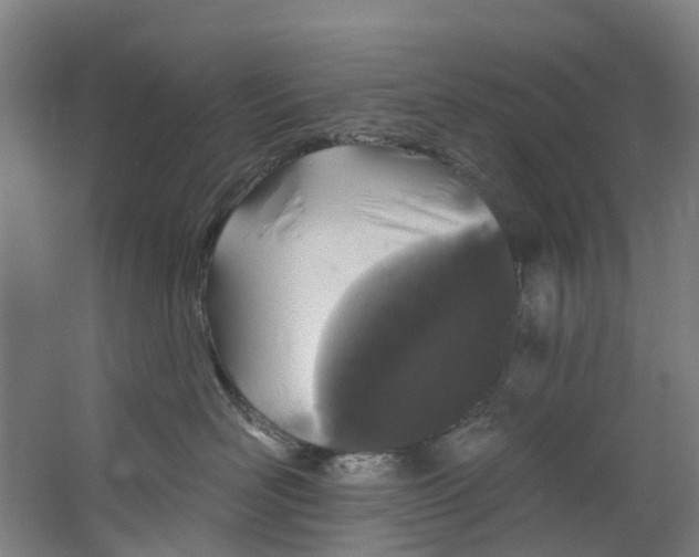 X0000062640526200601041100