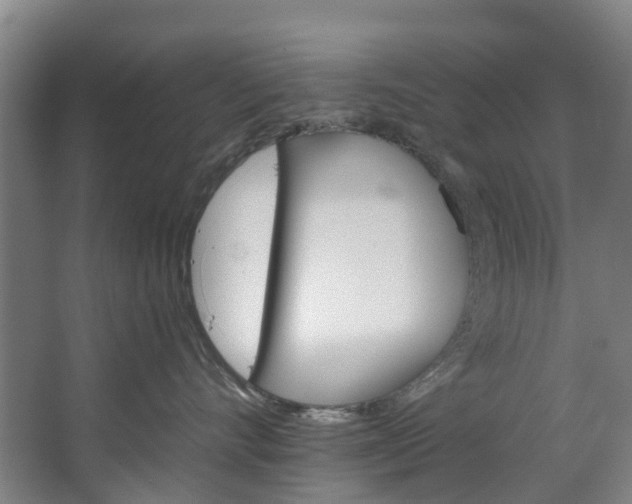 X0000062640528200601041100