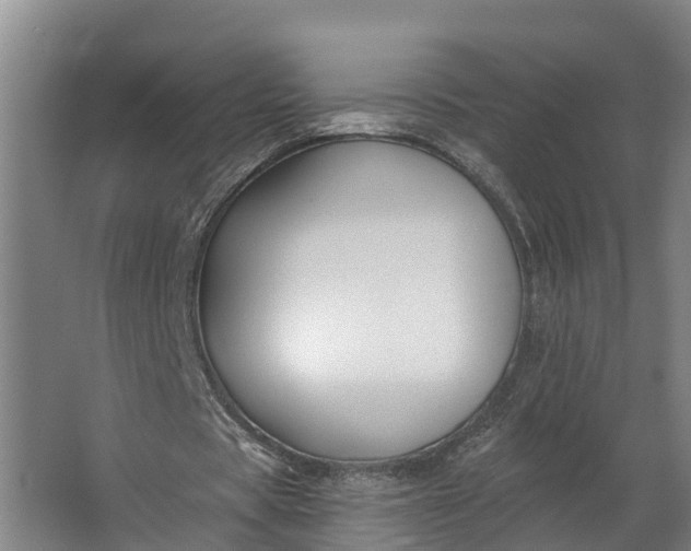 X0000062640529200601041059