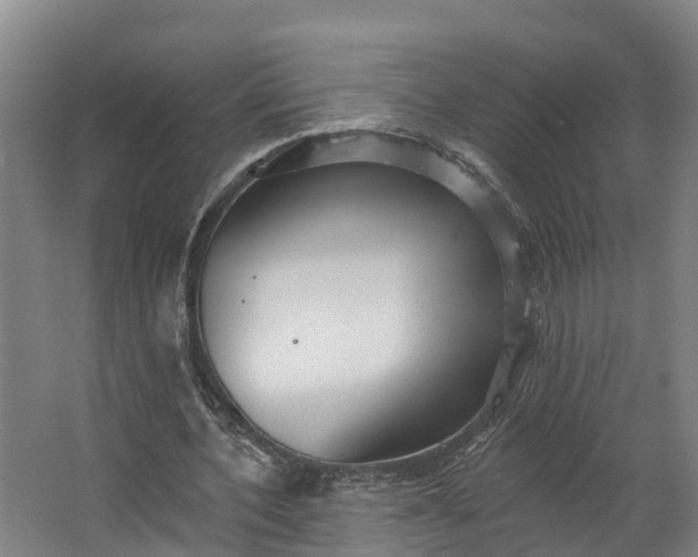 X0000062640532200601041059