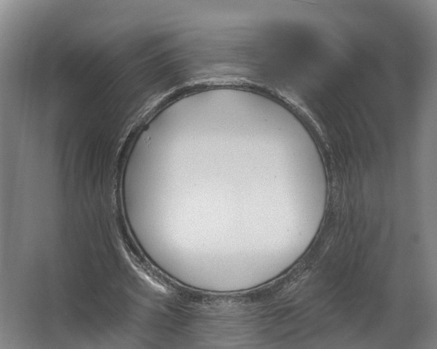 X0000062640533200601041059