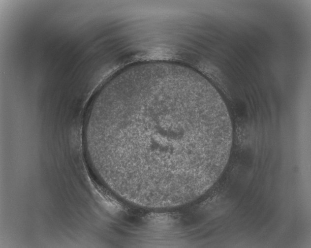 X0000062640534200601041059