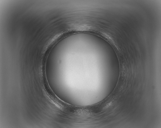 X0000062640535200601041059