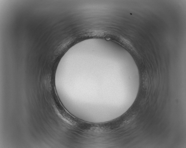 X0000062640538200601041059