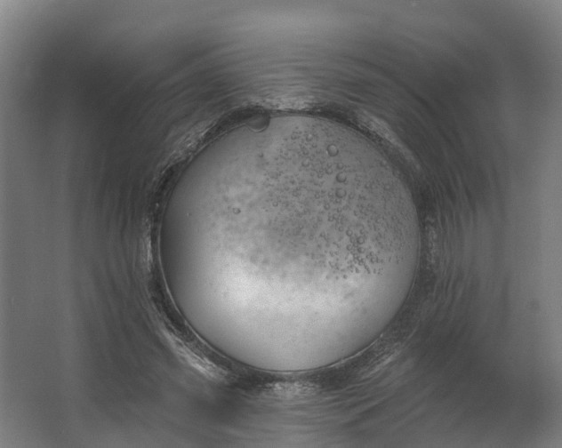 X0000062640541200601041059