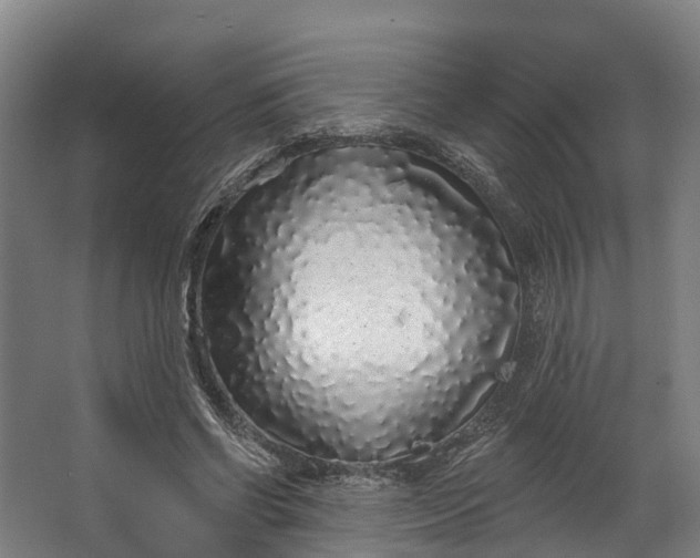 X0000062640542200601041059