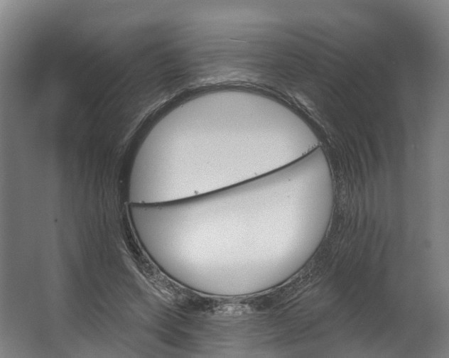 X0000062640543200601041059